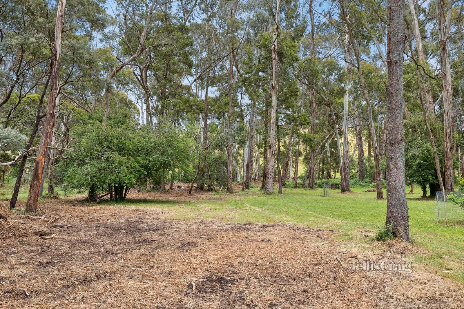 28 Plantation Road, Glenlyon image 2