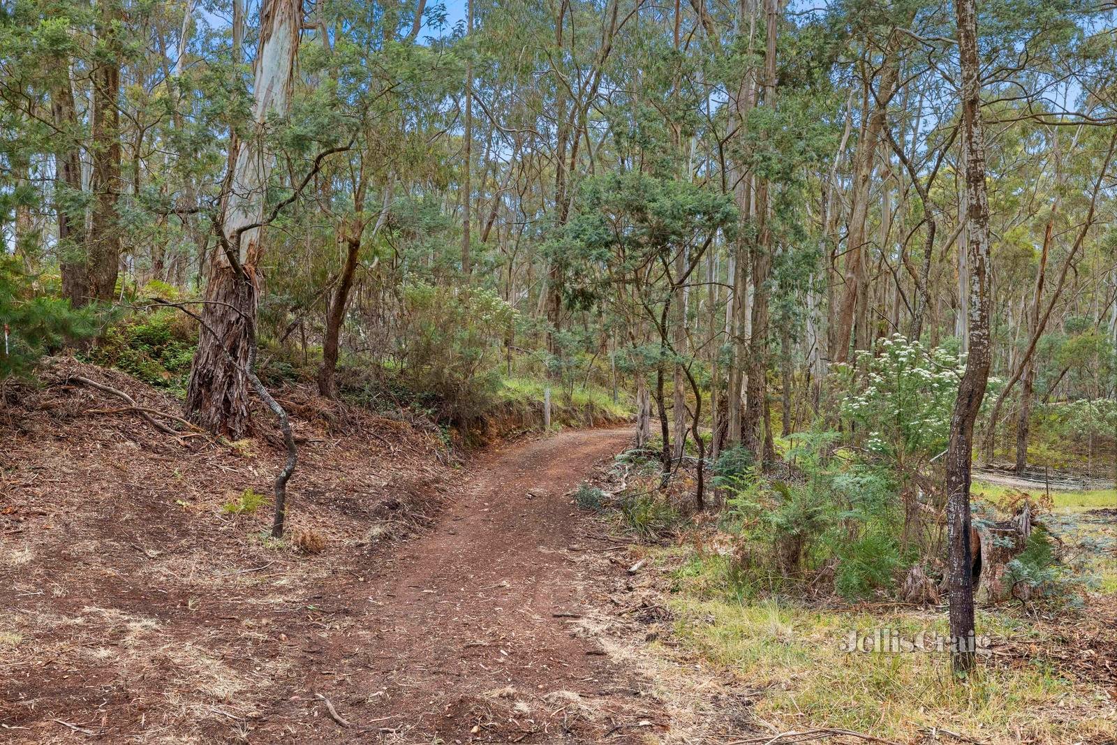 28 Plantation Road, Glenlyon image 5