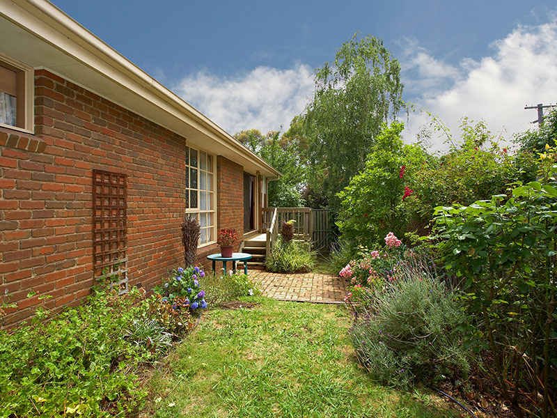 28 Wilton Street, Blackburn North image 7