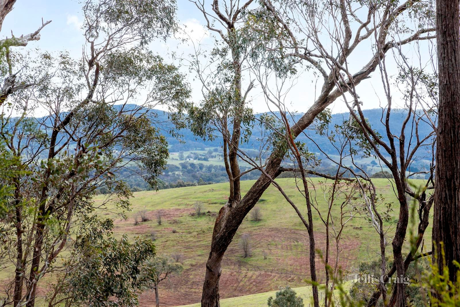 280 Mine Road, Cottles Bridge image 2