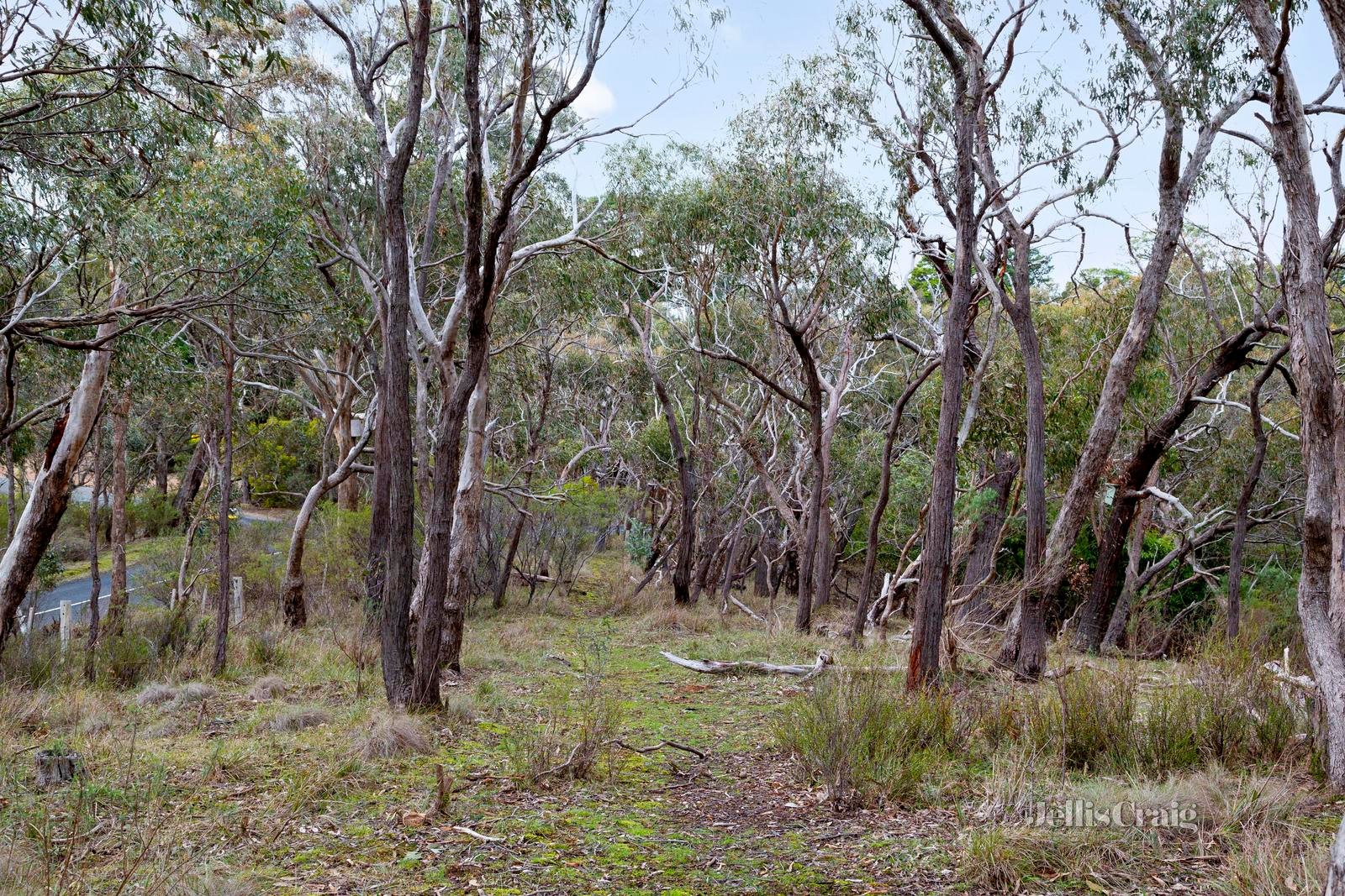 280 Mine Road, Cottles Bridge image 20