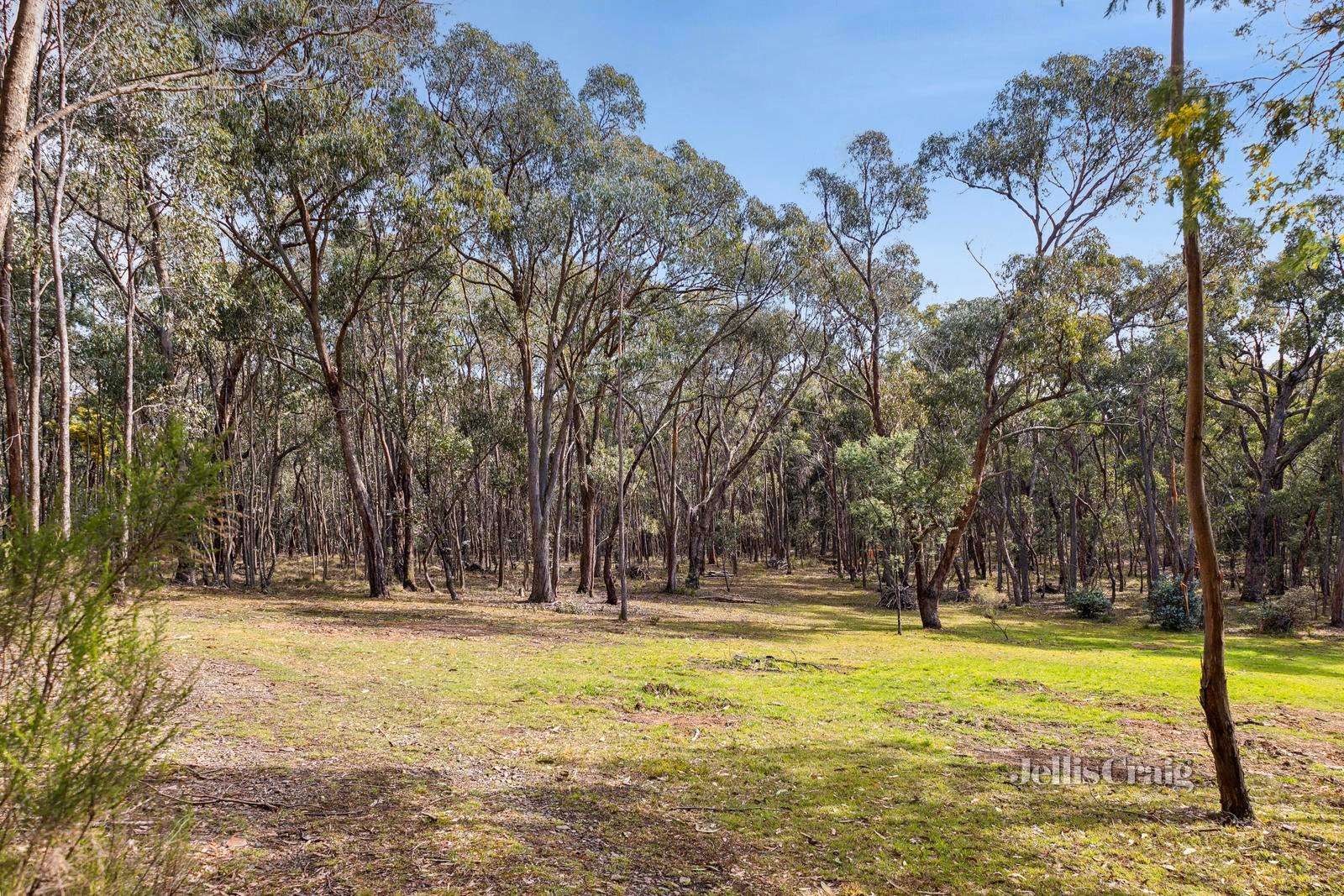 280 Scobles Road, Drummond image 5
