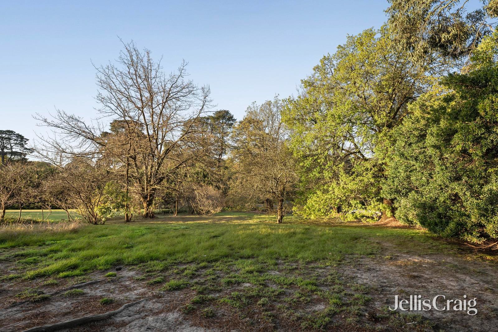 280 Warburton Highway, Wandin&nbsp;North image 10