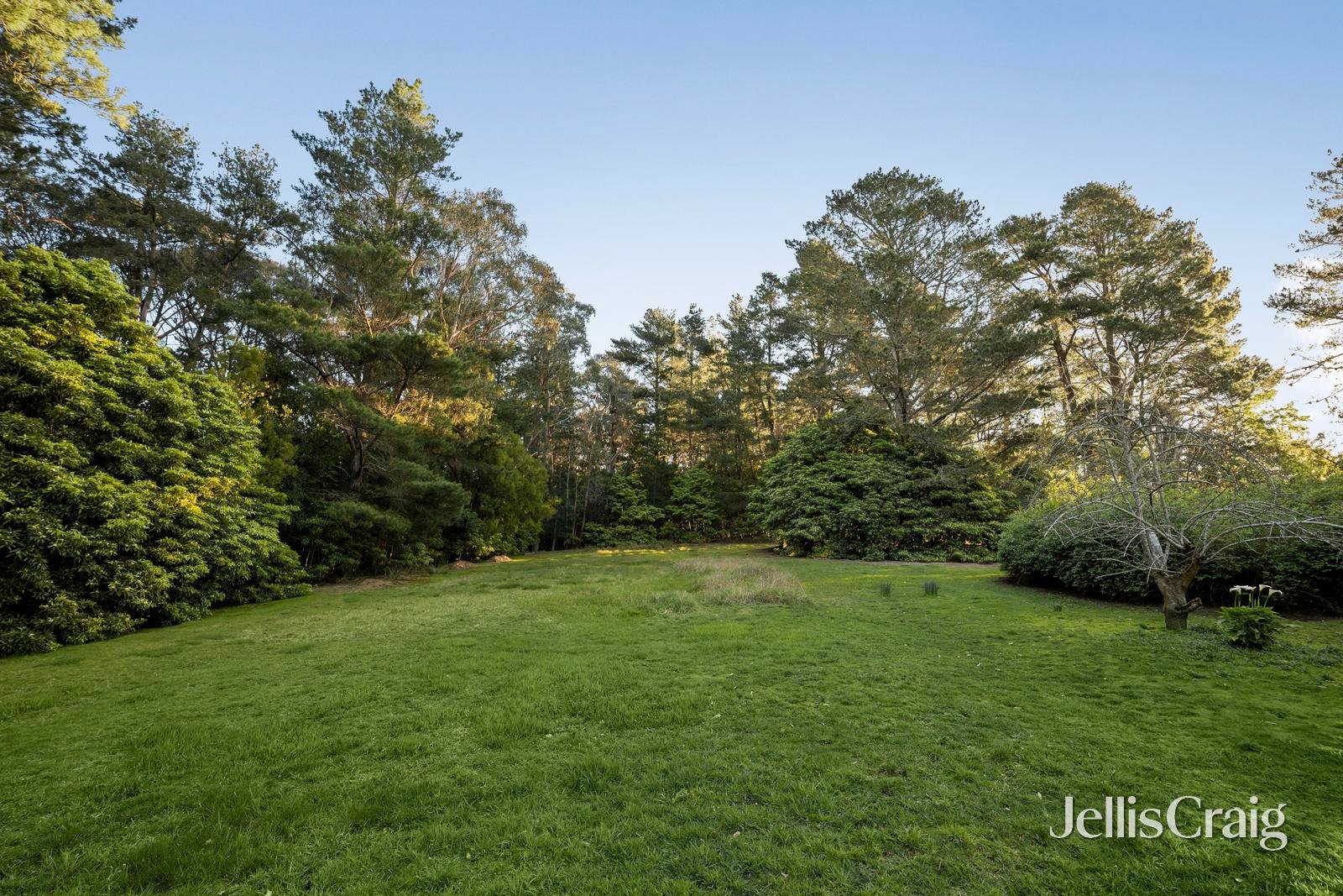 280 Warburton Highway, Wandin&nbsp;North image 12
