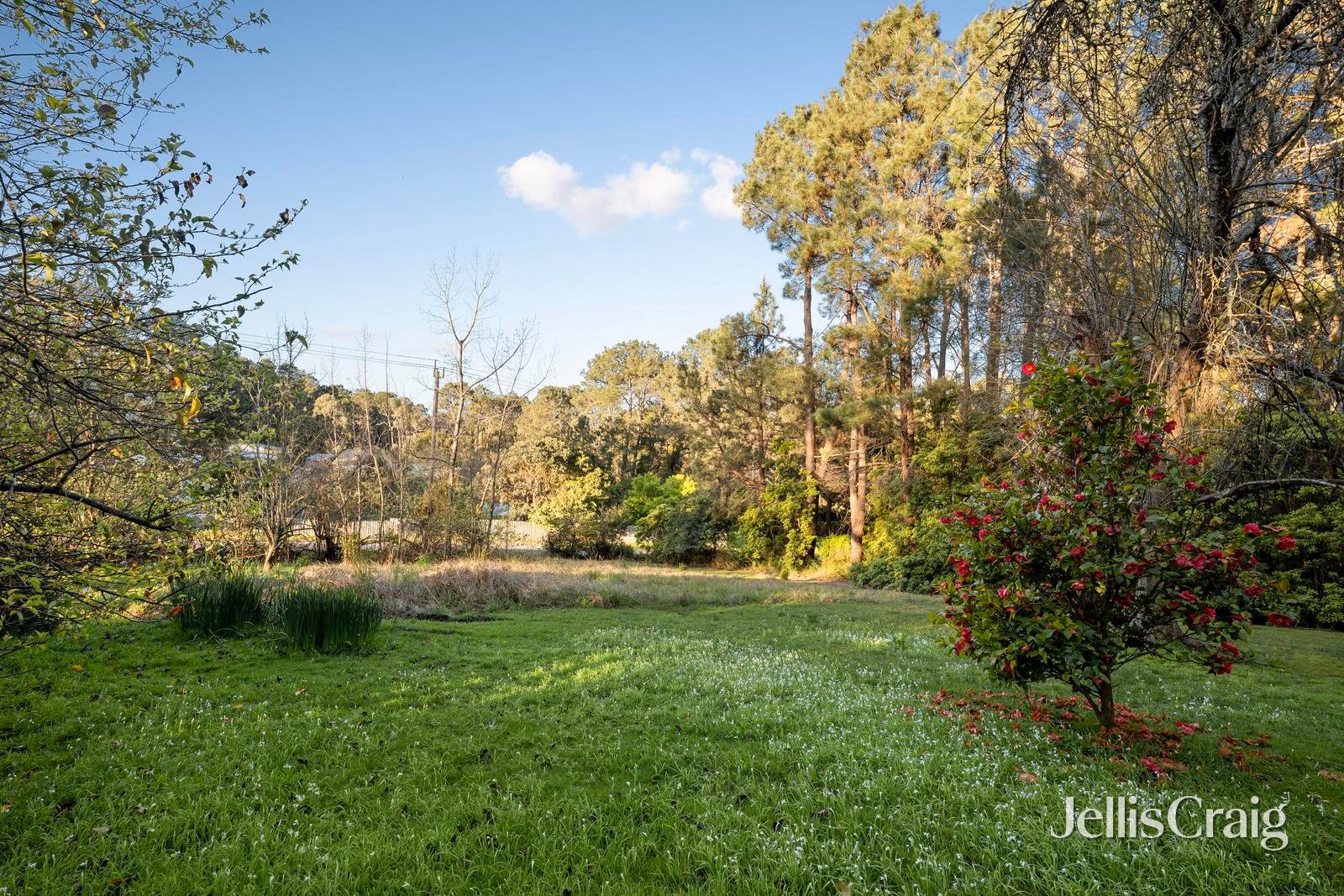 280 Warburton Highway, Wandin&nbsp;North image 14
