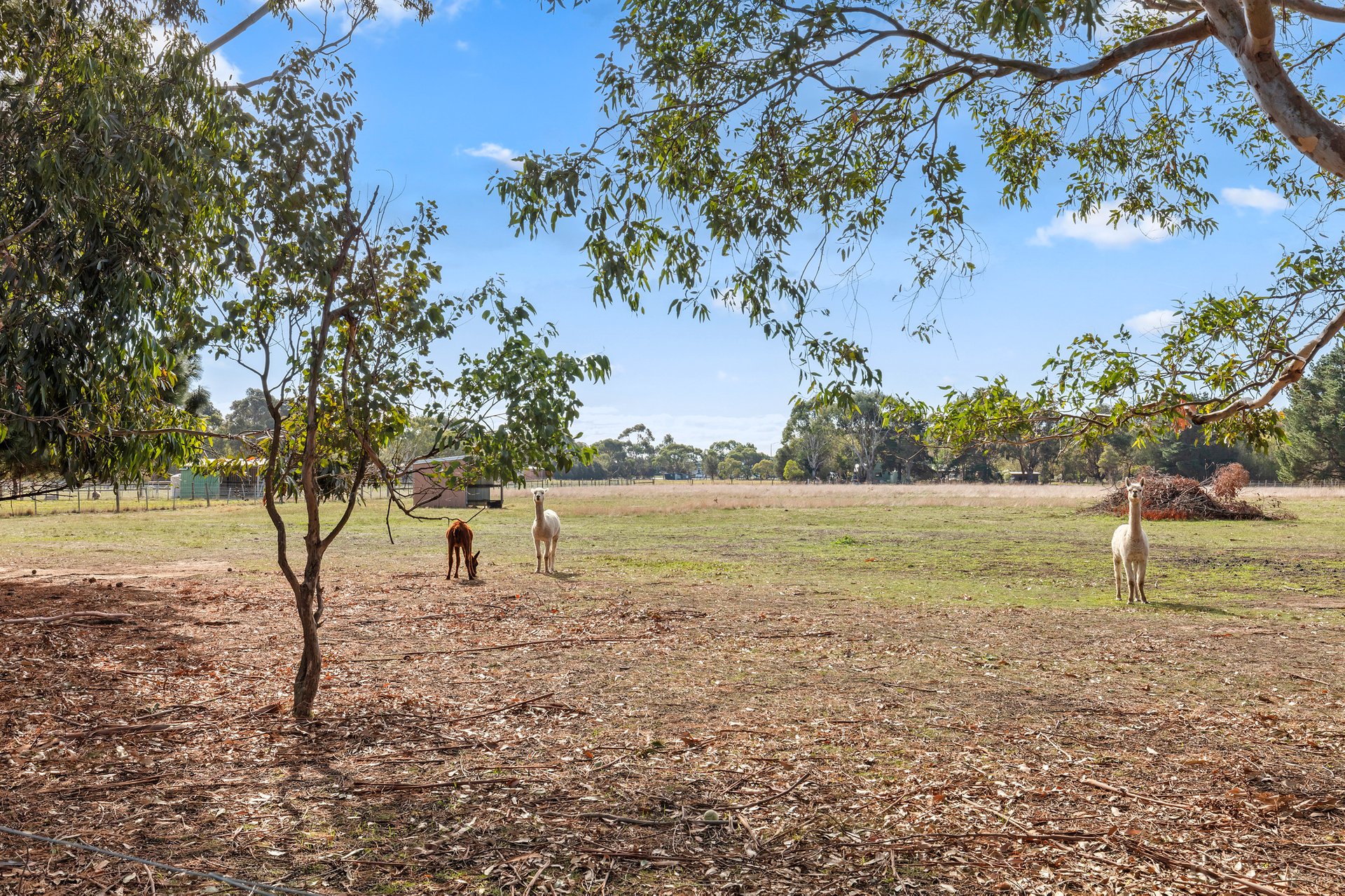 Property Gallery Thumbnail 16