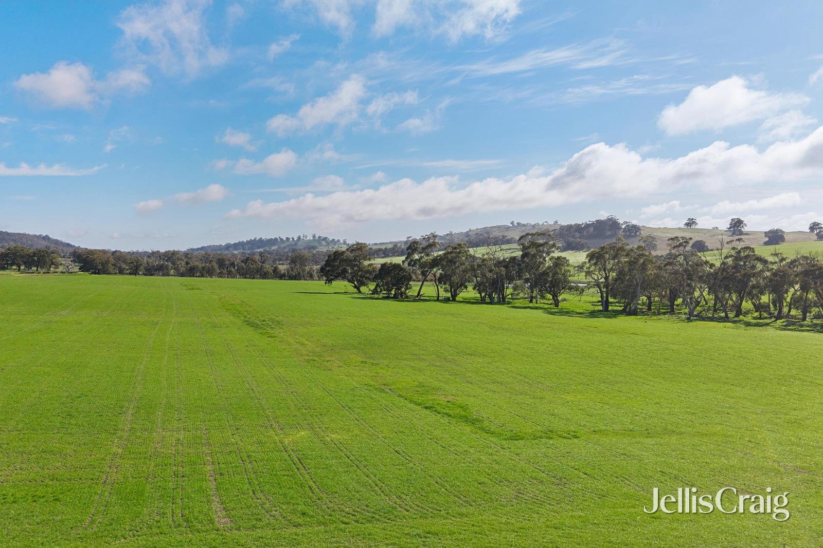 284 Blackhill Road, Kyneton image 1