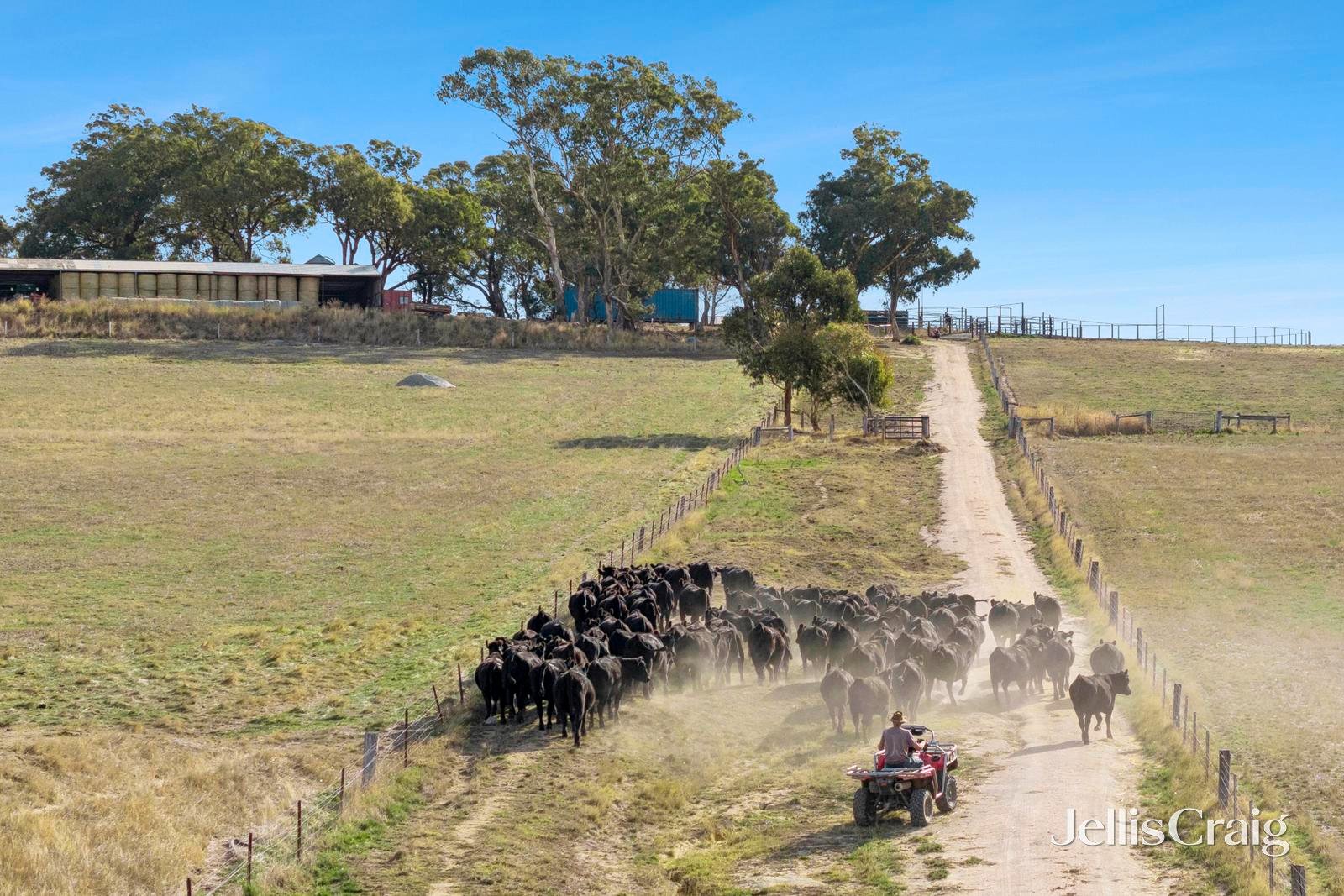 284 Blackhill Road, Kyneton image 2