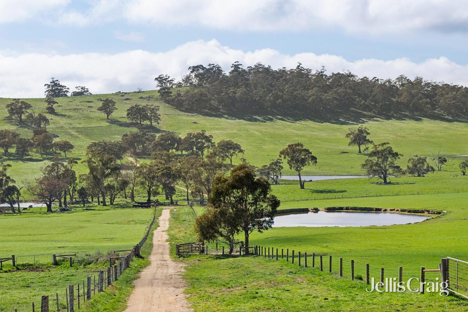 284 Blackhill Road, Kyneton image 4
