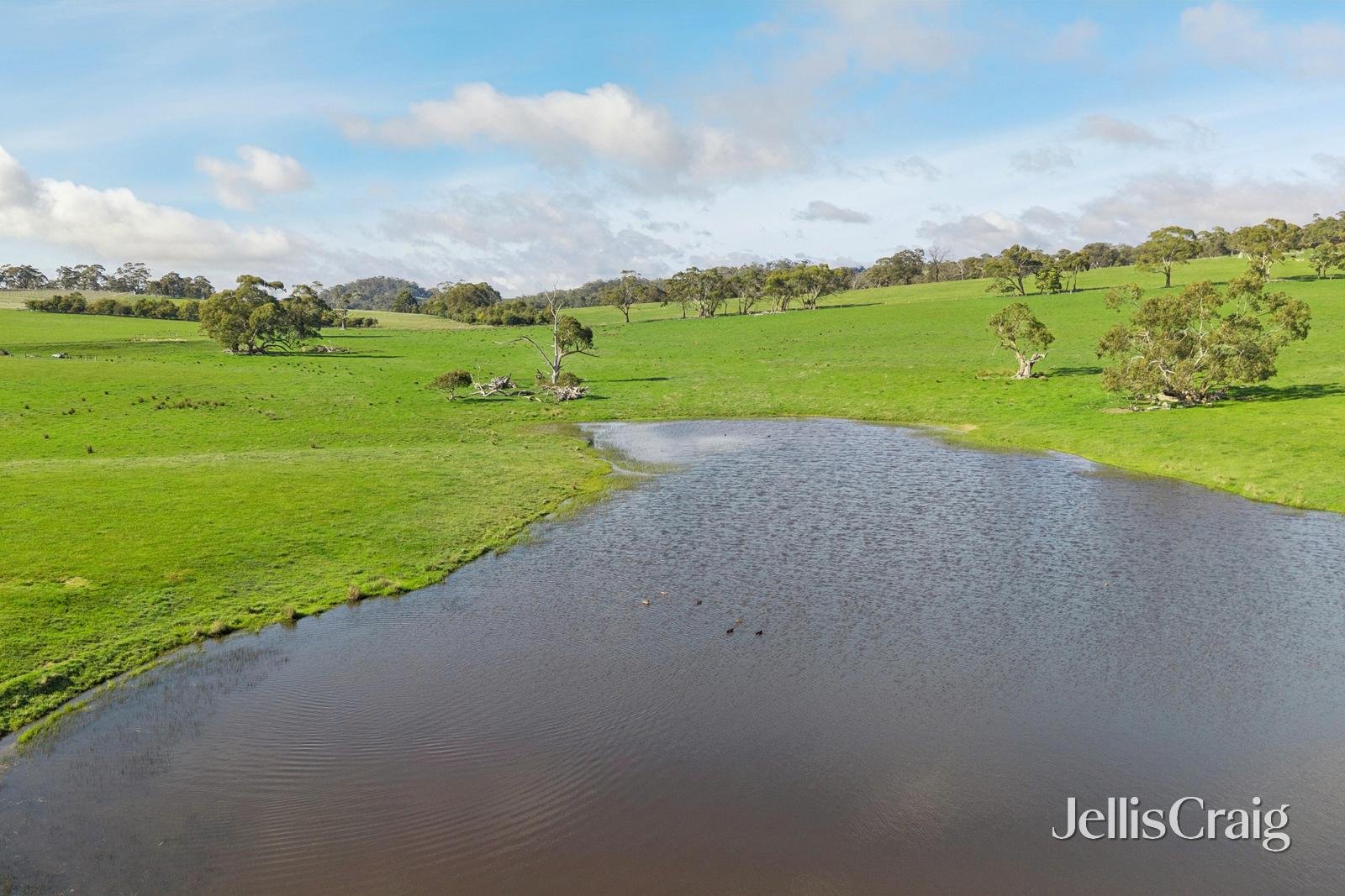 284 Blackhill Road, Kyneton image 7