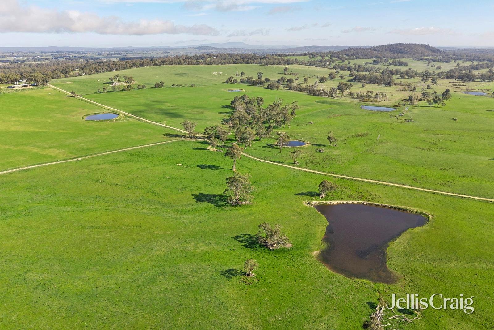 284 Blackhill Road, Kyneton image 8