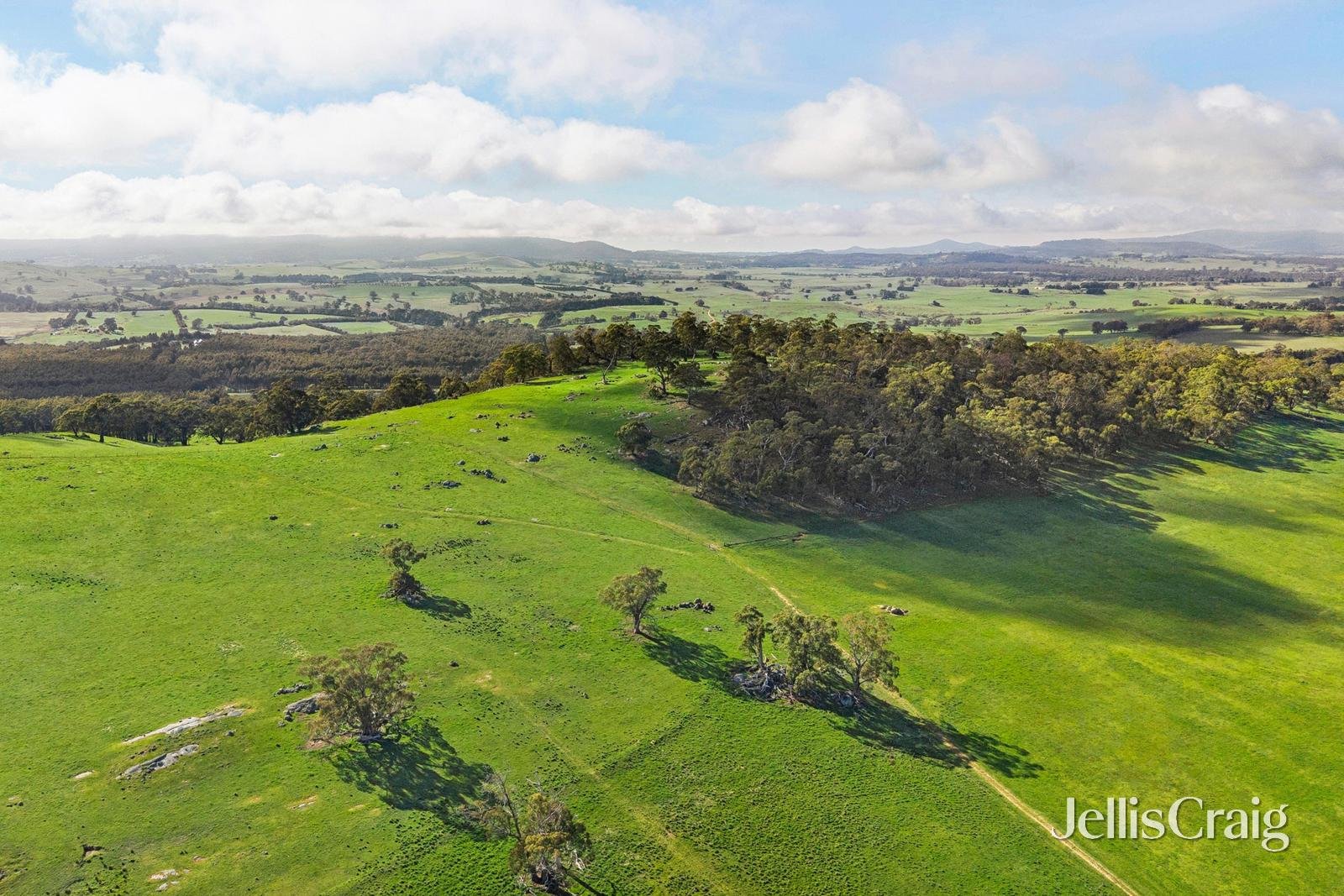 284 Blackhill Road, Kyneton image 9