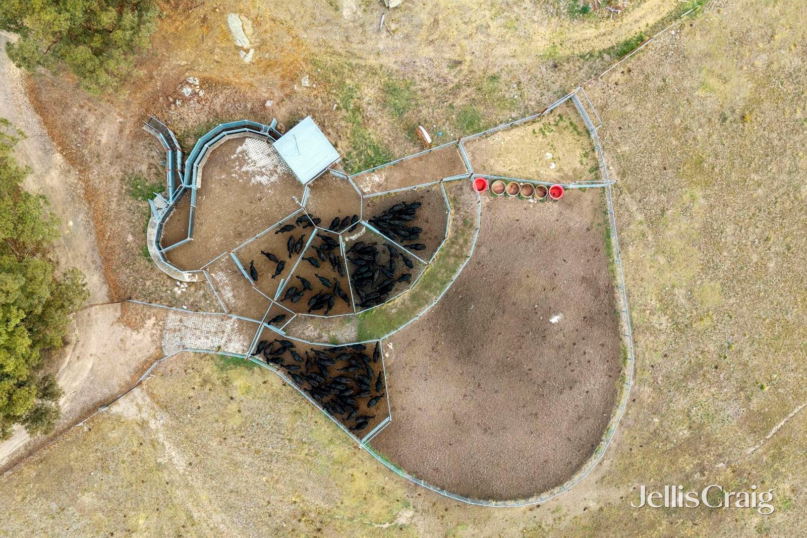 284 Blackhill Road, Kyneton image 10