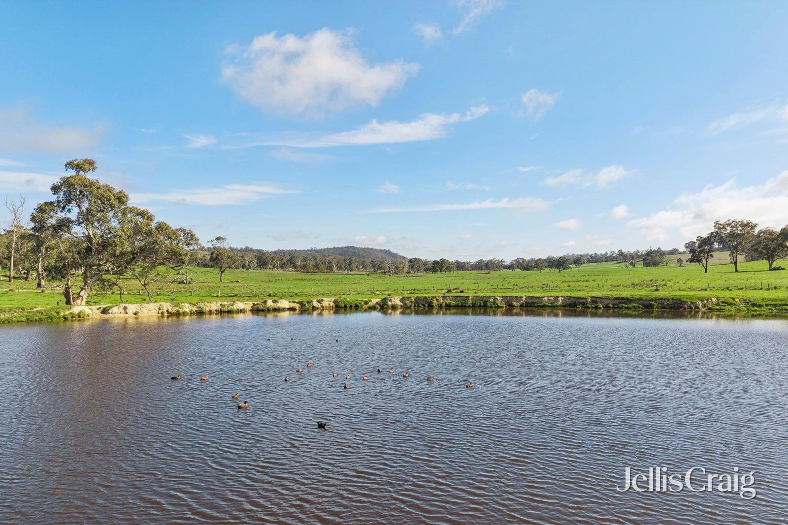 284 Blackhill Road, Kyneton image 11