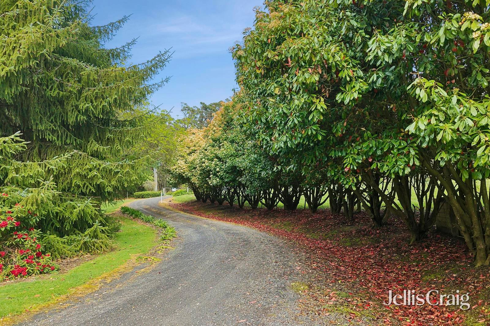 289 Harpers Road, Woodend image 2