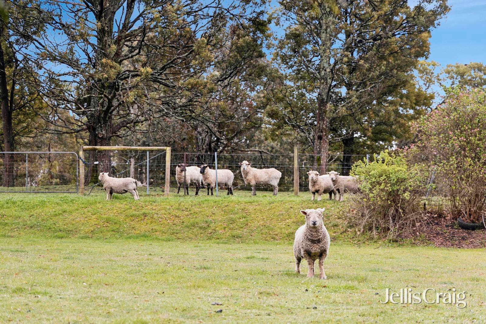 289 Harpers Road, Woodend image 19