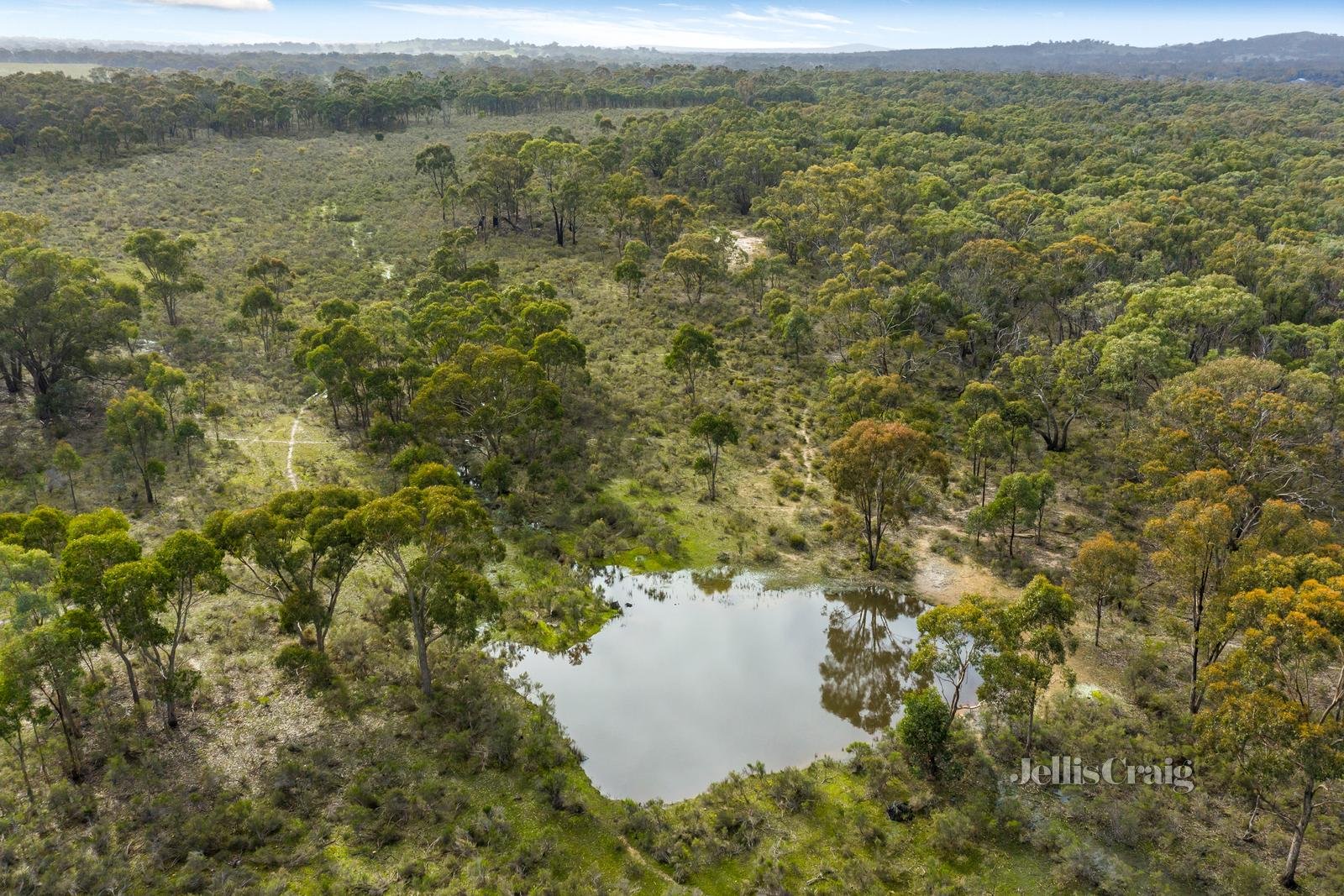 289 Lewis Road, Maldon image 20