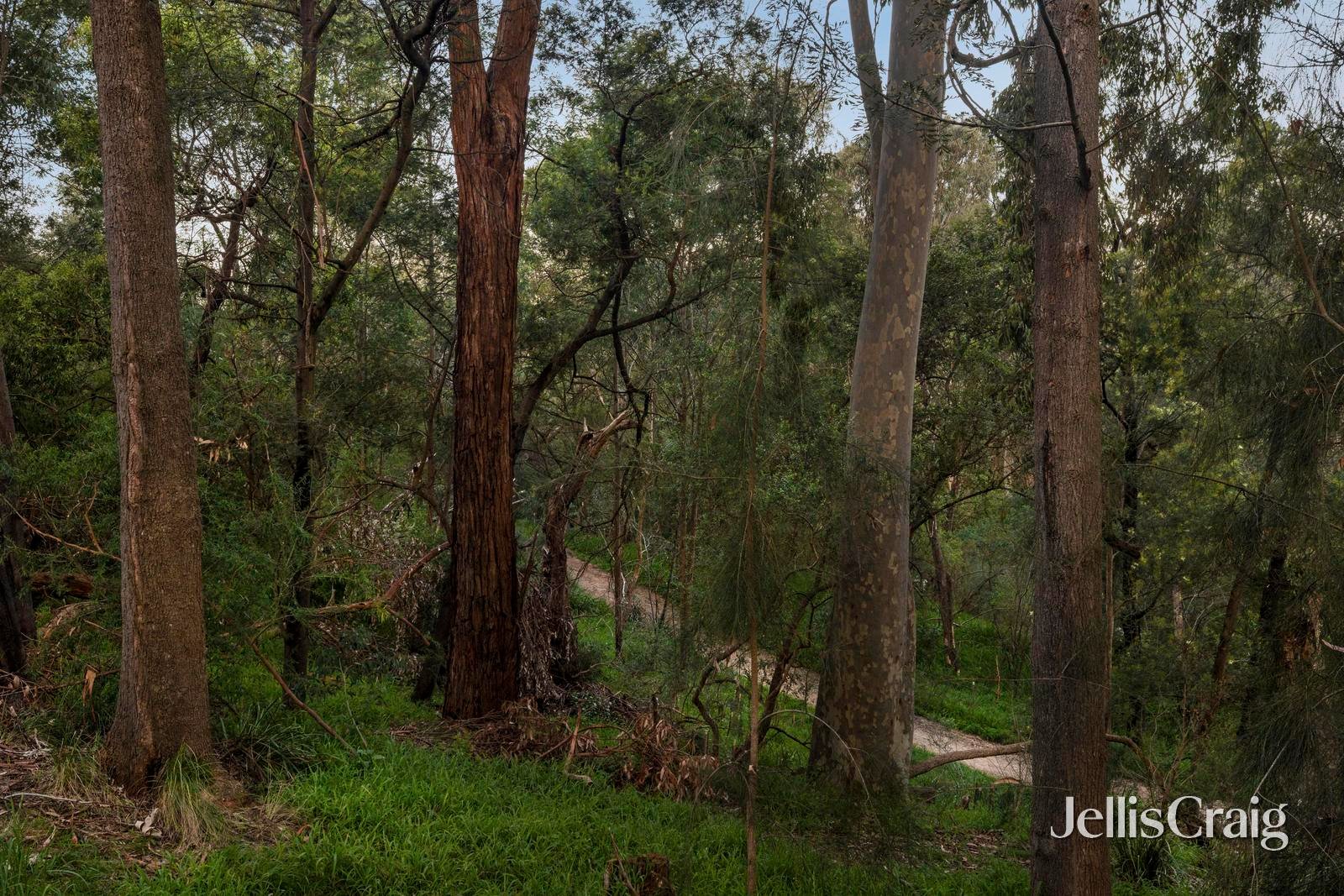 28B Park Road, Mount&nbsp;Waverley image 17