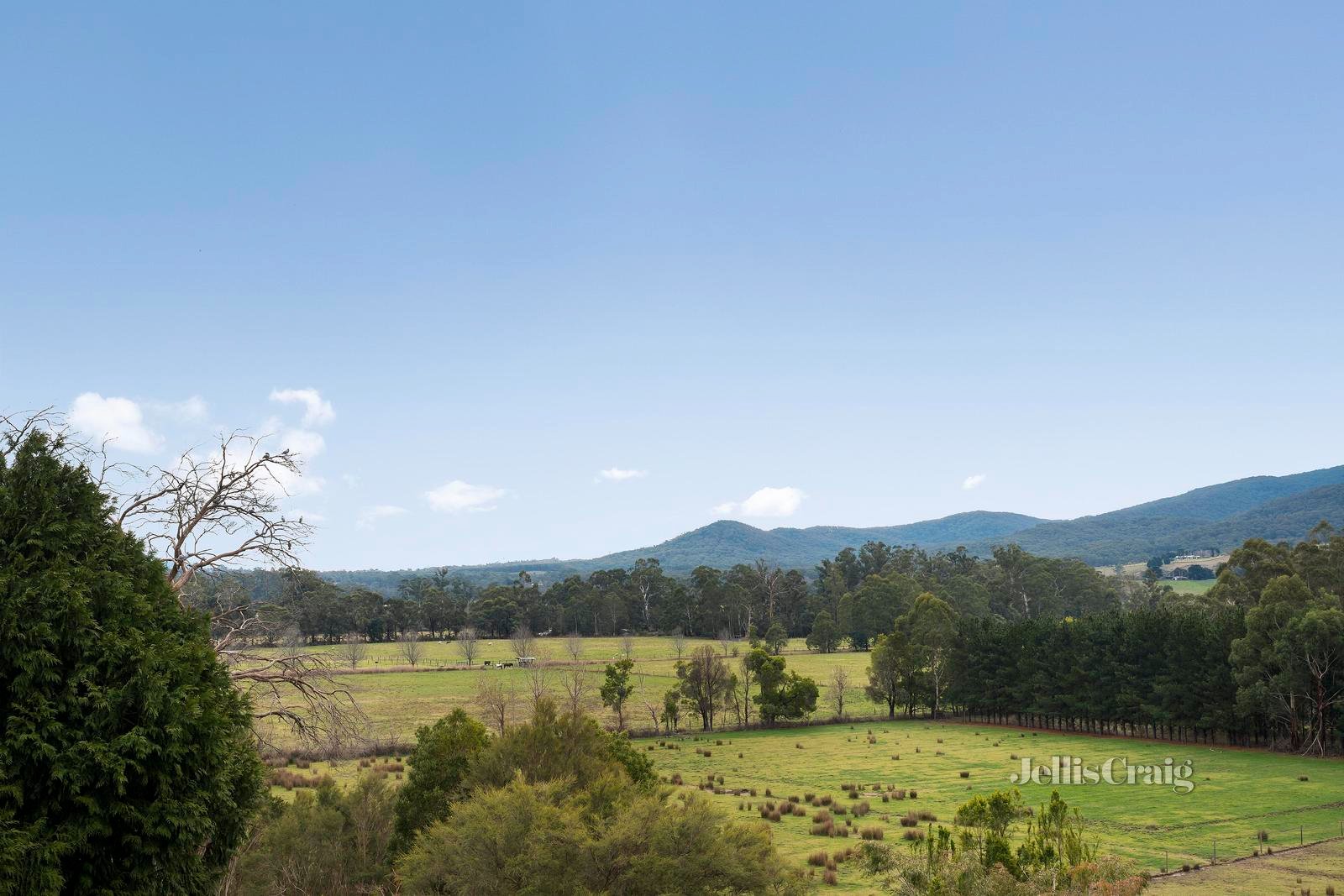29 Alpine Boulevard, Launching Place image 2