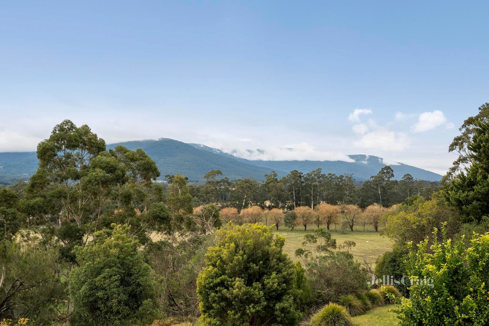 29 Alpine Boulevard, Launching Place image 14