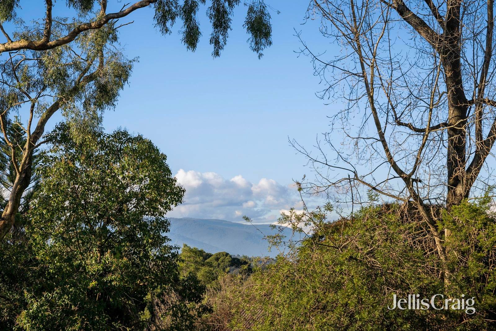 29 Bailey Road, Mount&nbsp;Evelyn image 22