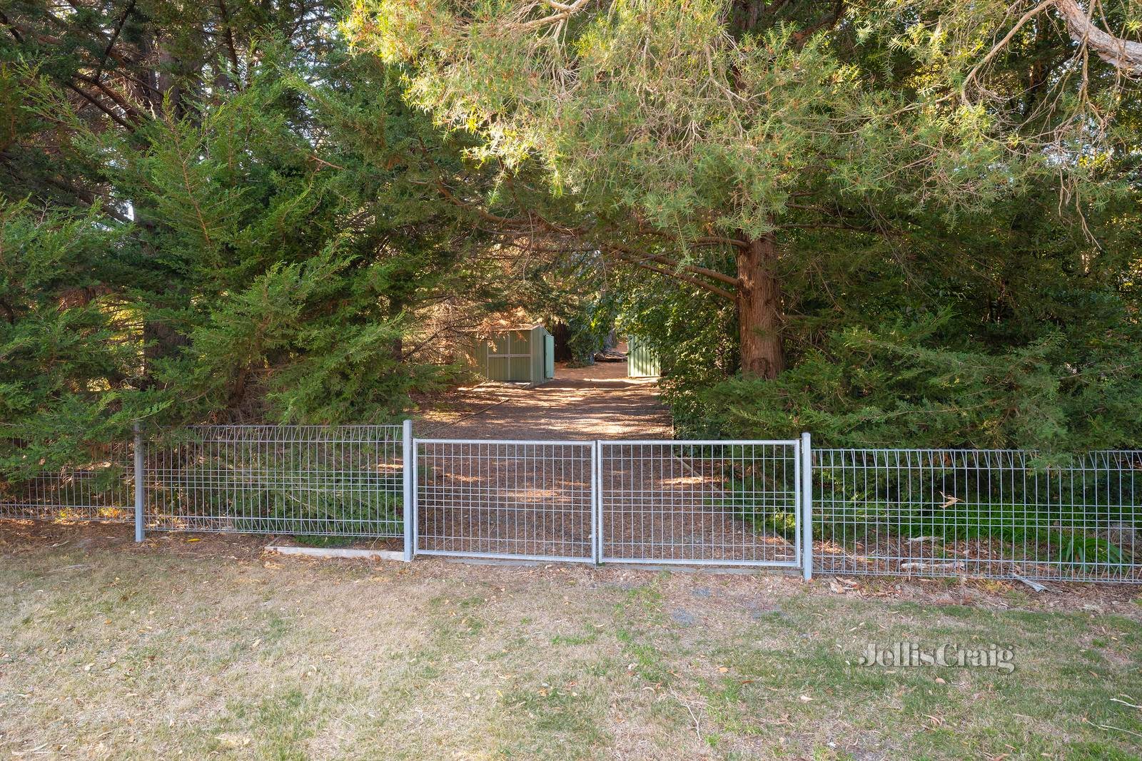 29 Beaulieu Avenue, Lilydale image 21