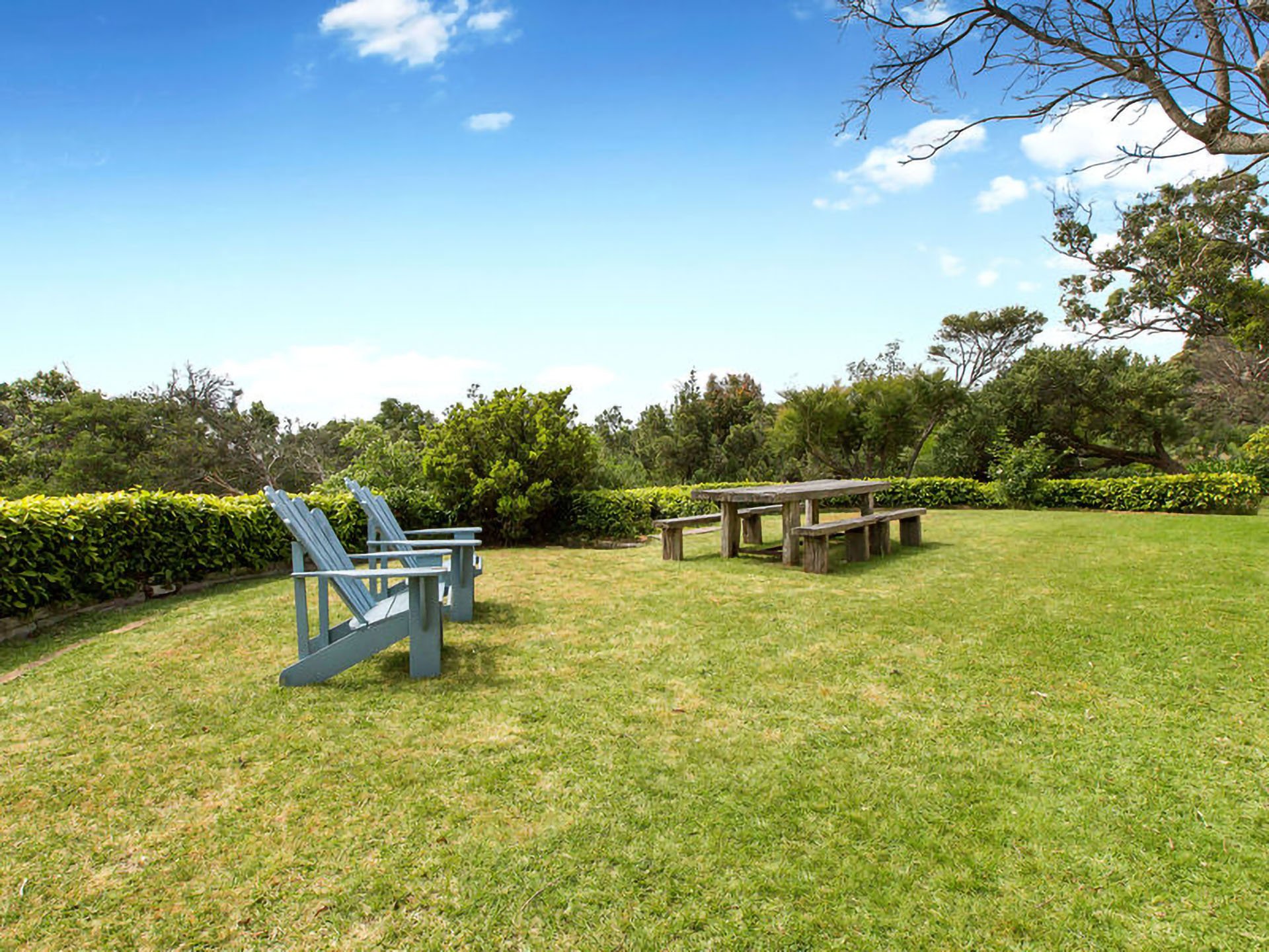 29 Browne Street MCCRAE