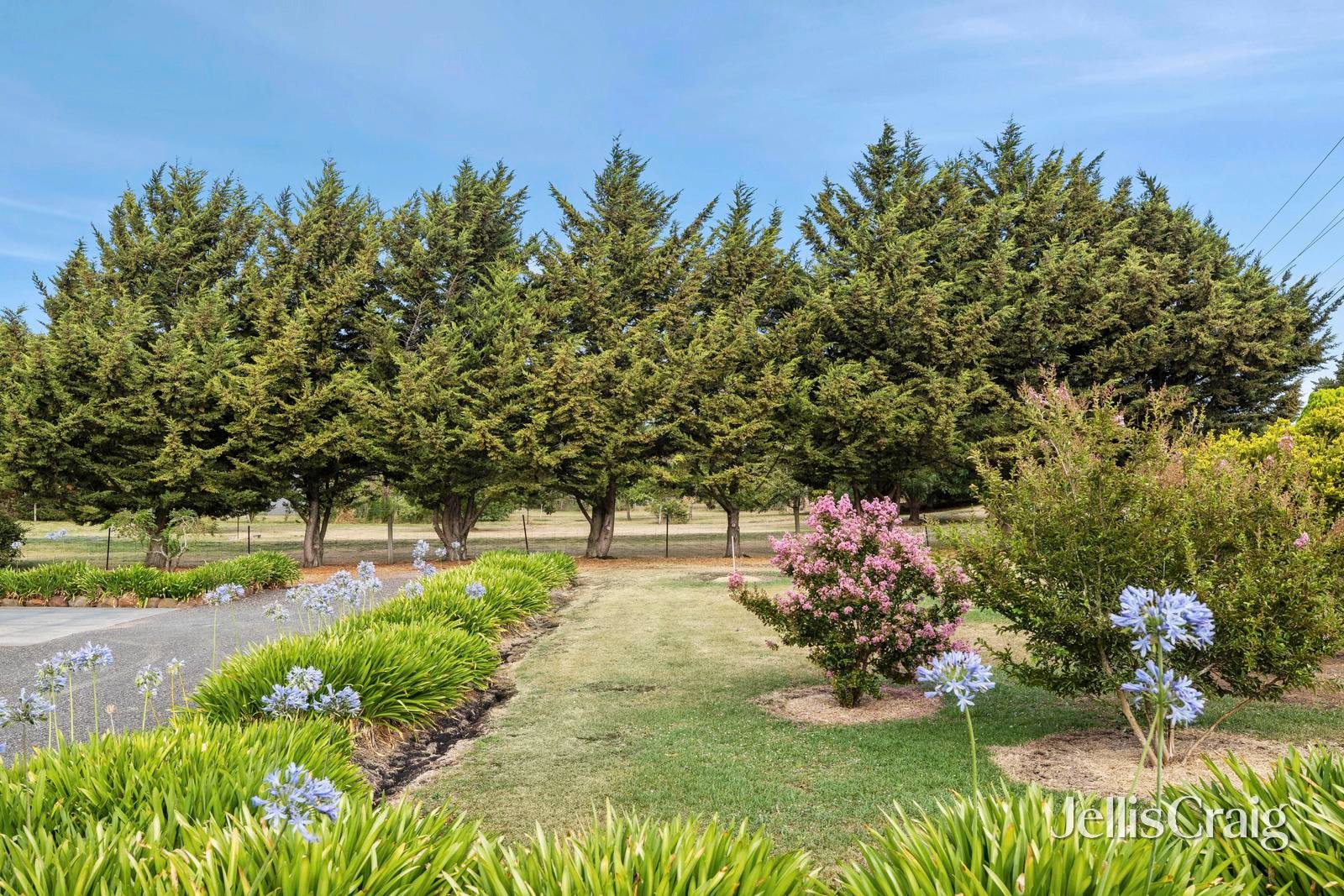 29 Burton Avenue, Kyneton image 13