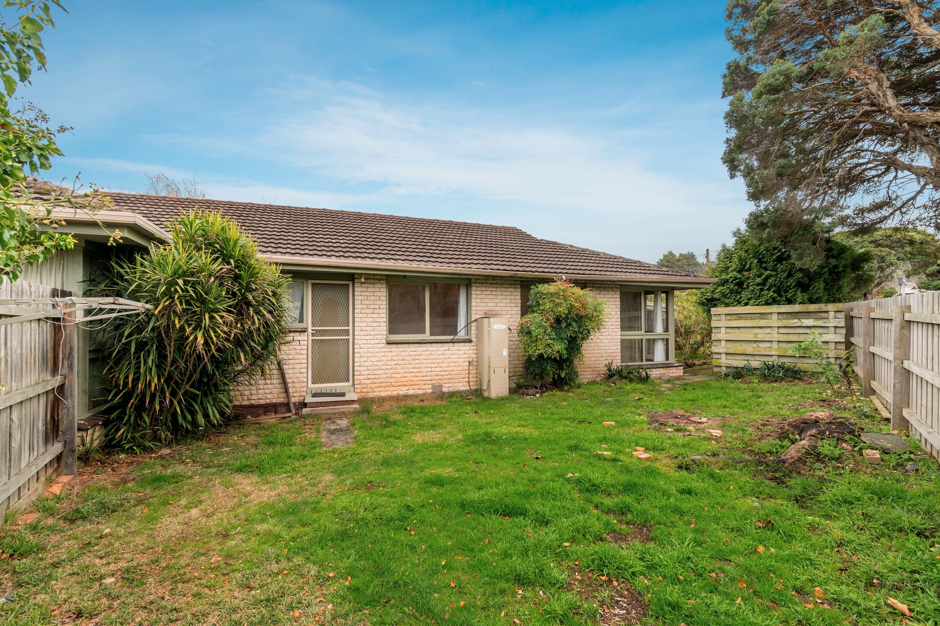 29 Great Ryrie Street, Ringwood image 5