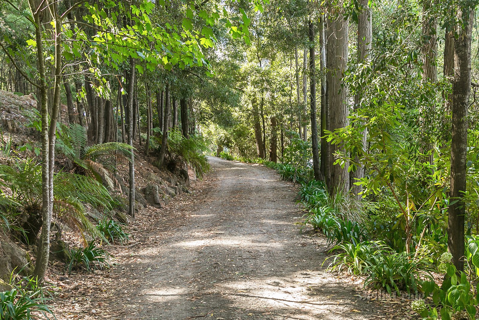 29 Green Avenue, Mount Macedon image 14