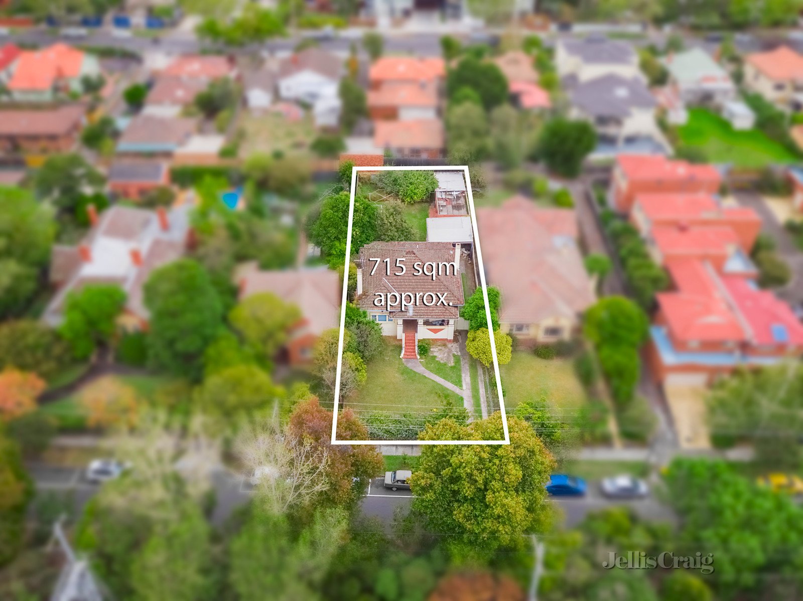 29 Hopetoun Parade, Box Hill image 4