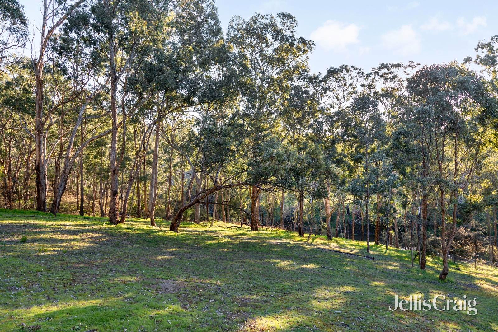 29 Hutchinson Avenue, Warrandyte image 17