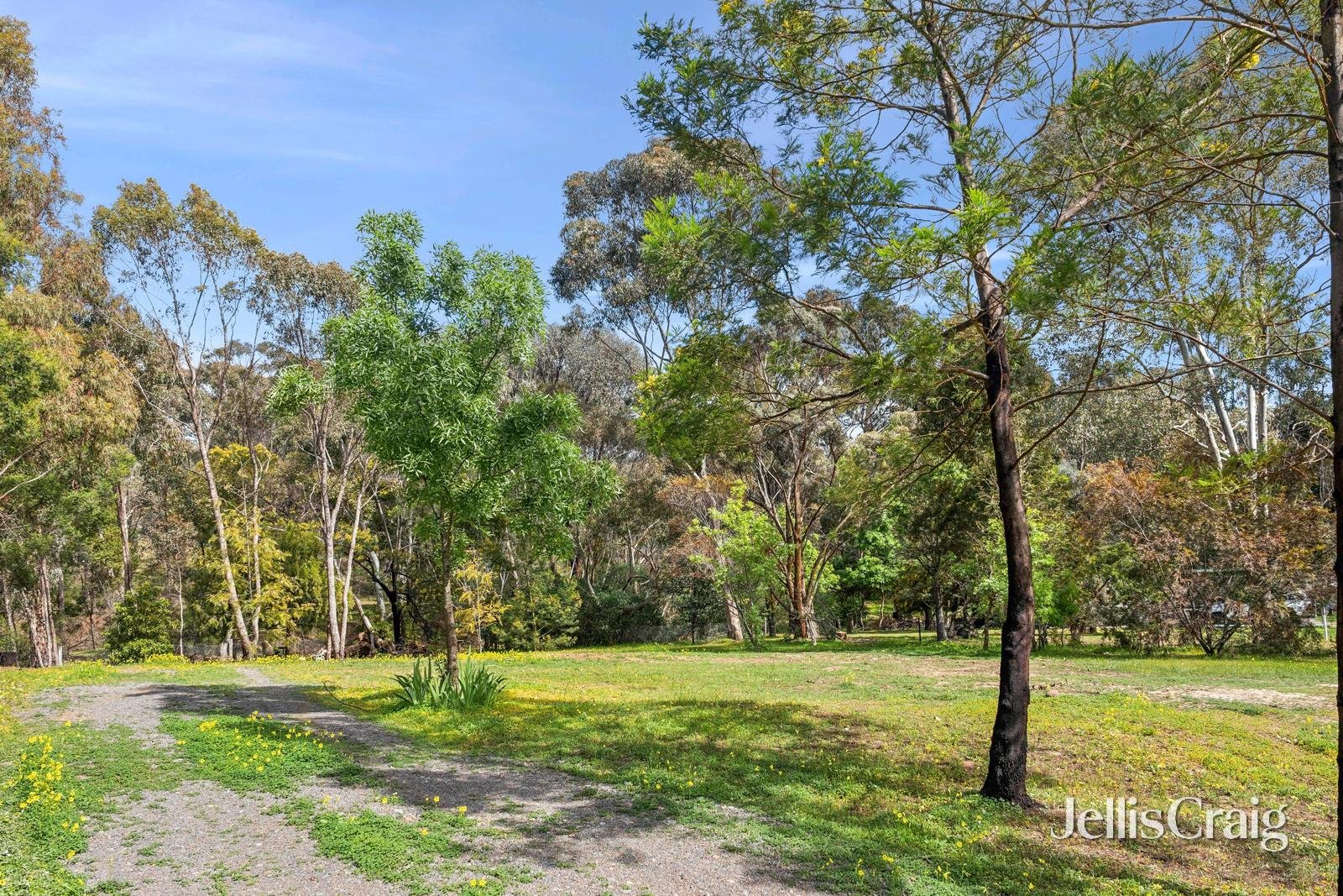 29 Lawrence Street, Maldon image 3