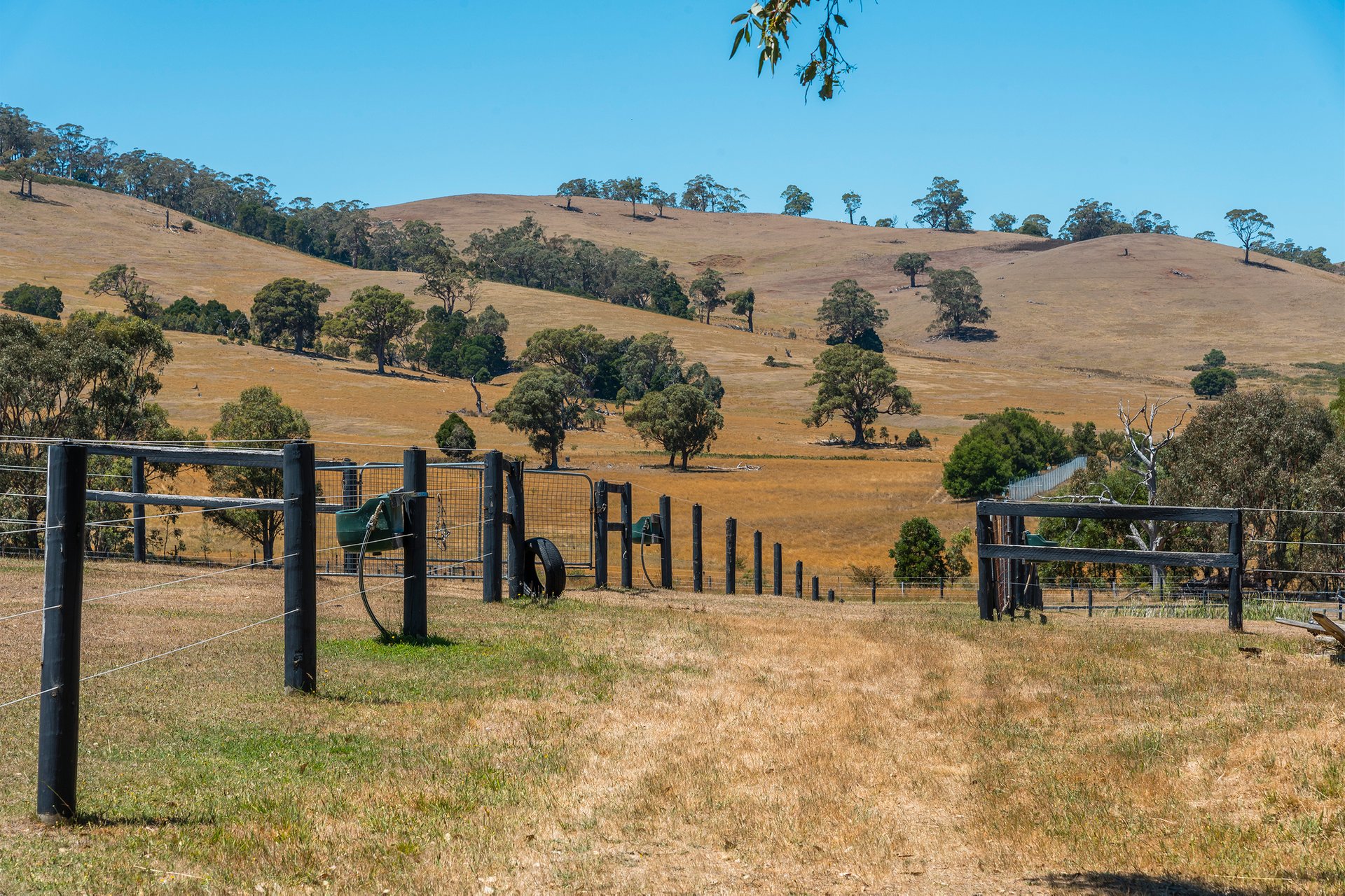 Property Gallery Thumbnail 3