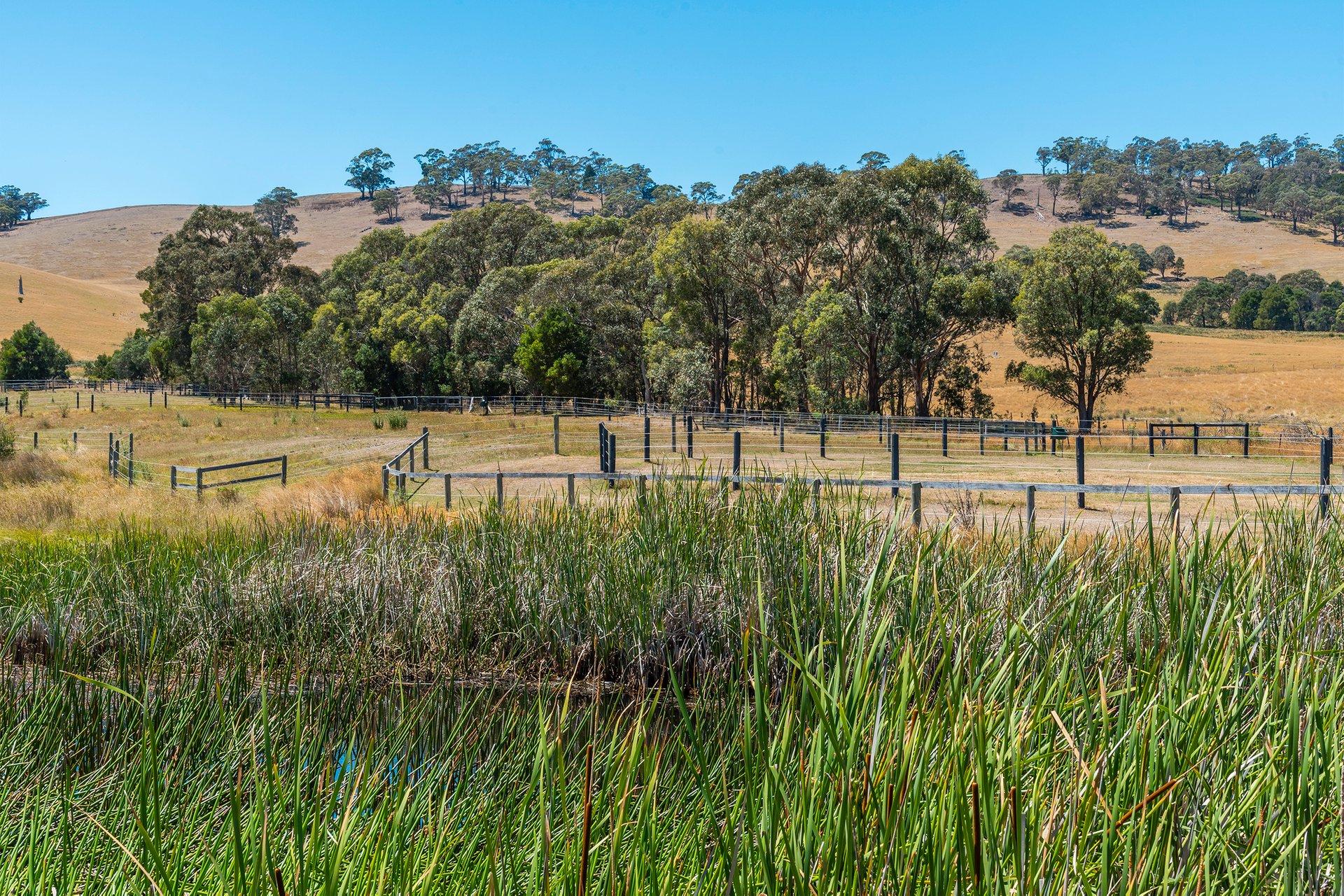 Property Gallery Thumbnail 4