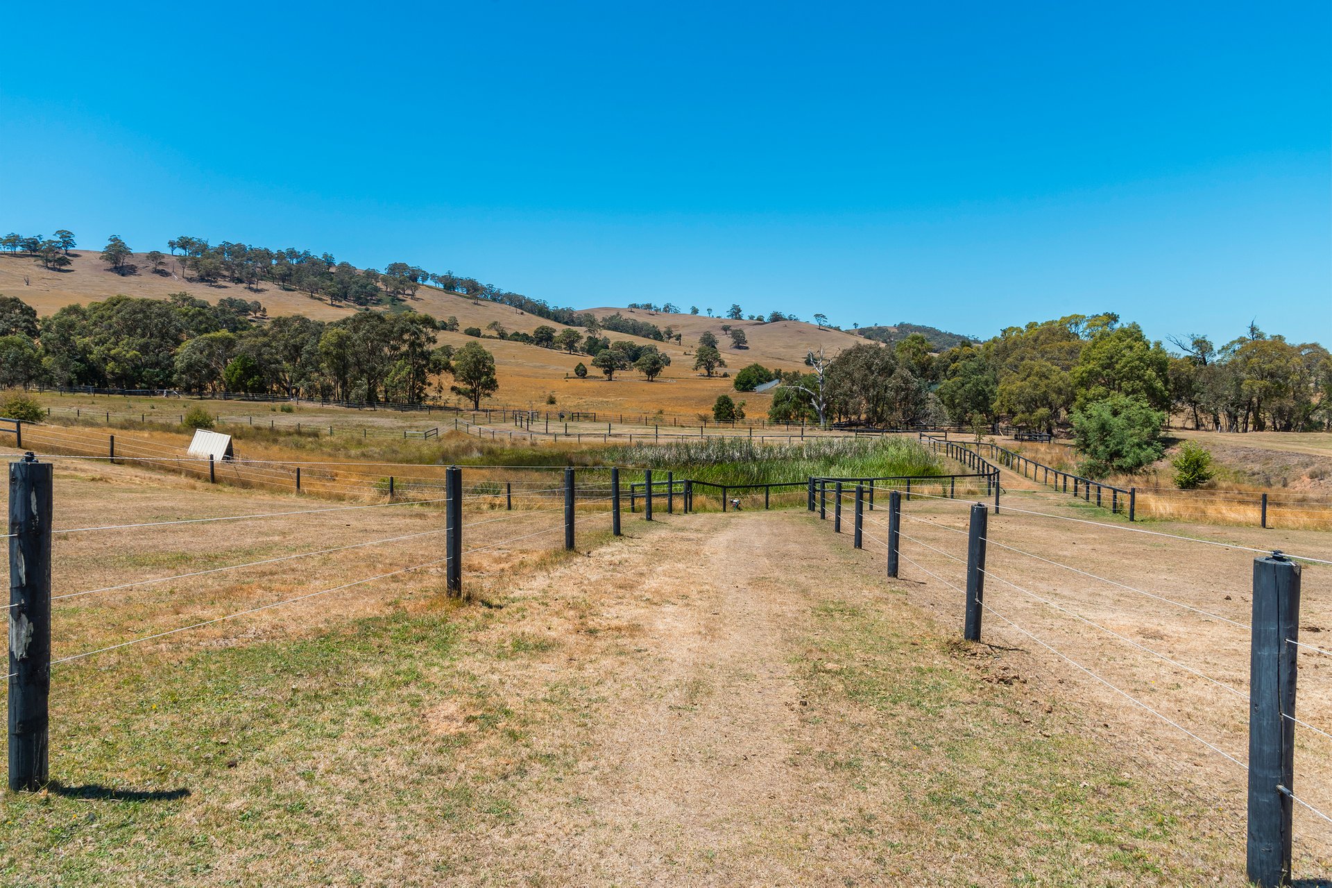 Property Gallery Thumbnail 5