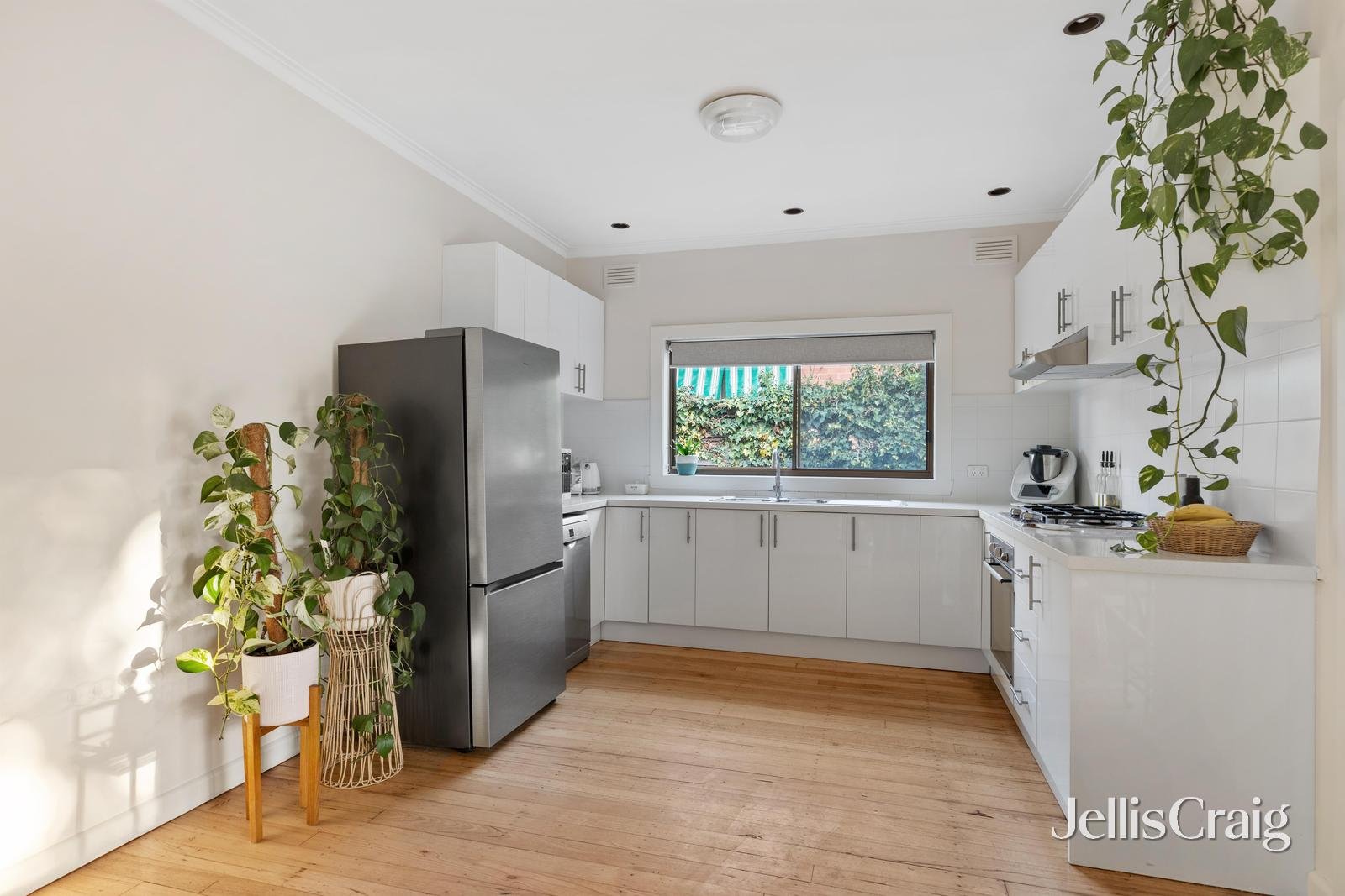 29 Macorna Street, Watsonia North image 5