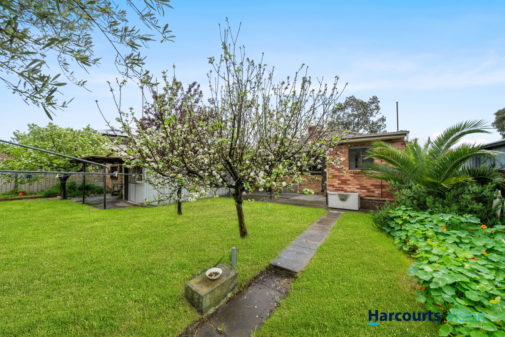 29 Palmer Street, Fawkner image 11