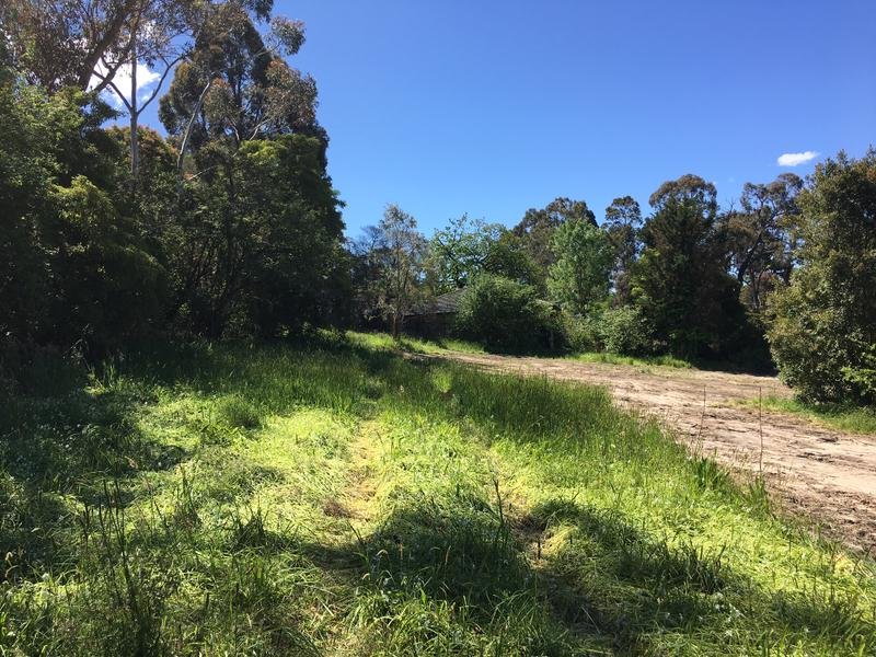 29 Pleasant Drive, Heathmont image 6