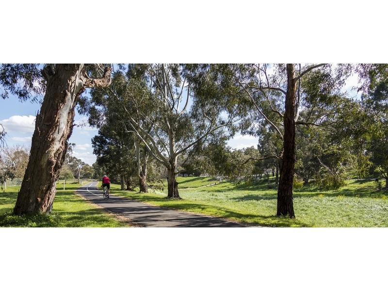 29 Pleasant Drive, Heathmont image 11