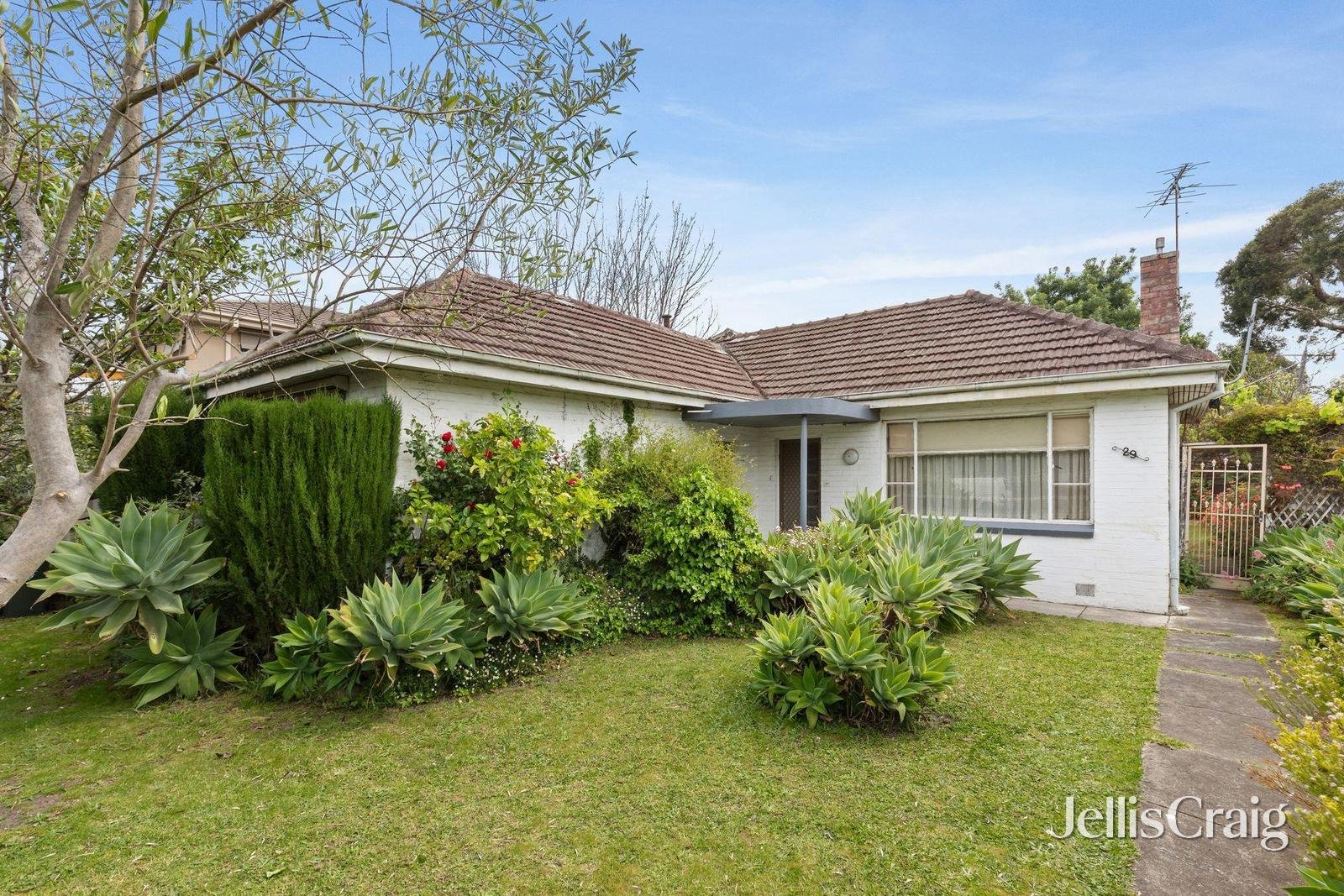 29 Ross Street, Alphington image 2