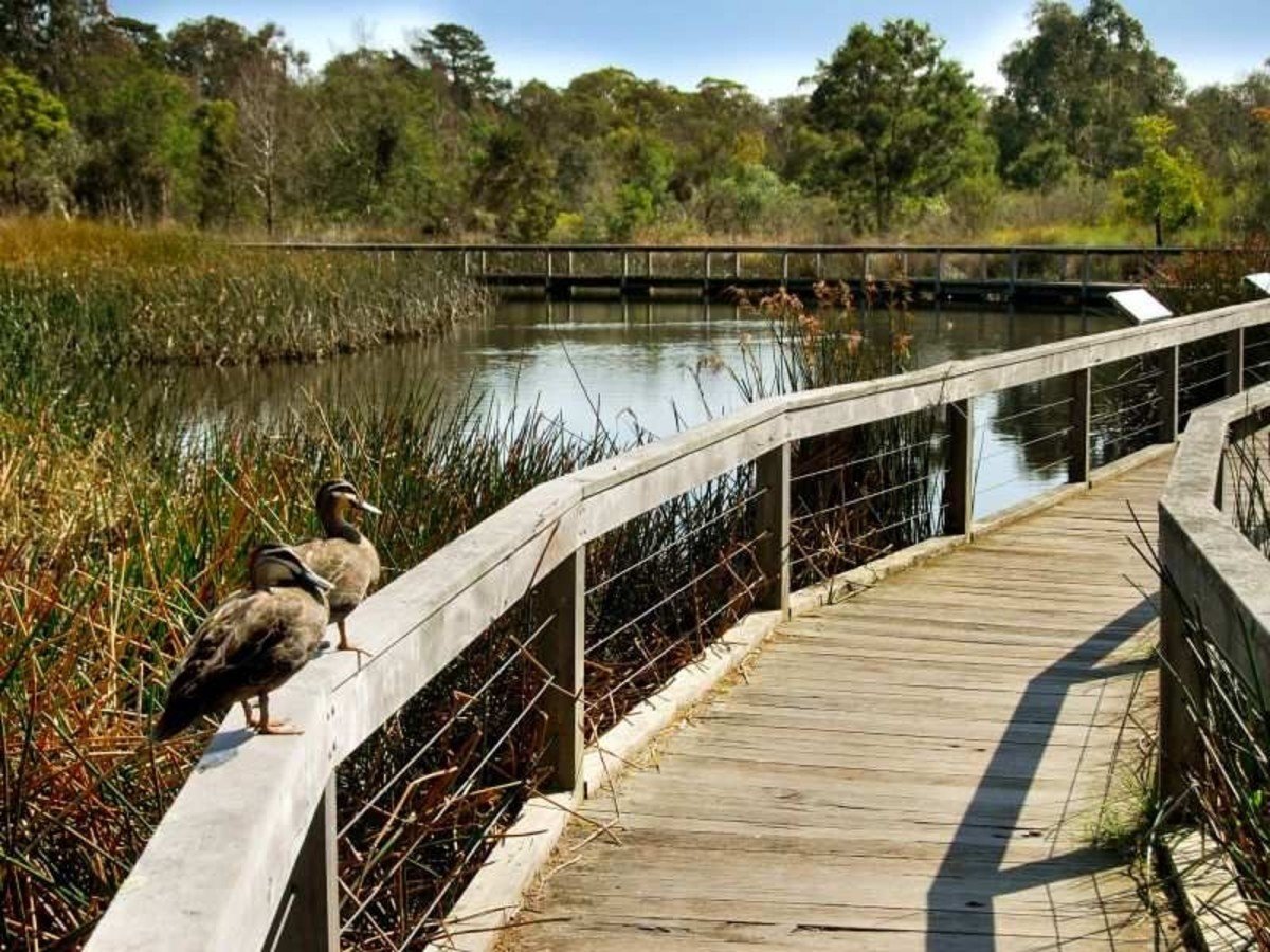 29 Valda Avenue, Mont&nbsp;Albert&nbsp;North image 5