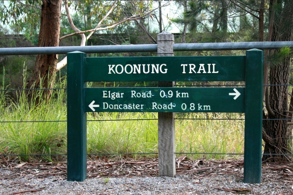 29 Valda Avenue, Mont&nbsp;Albert&nbsp;North image 6