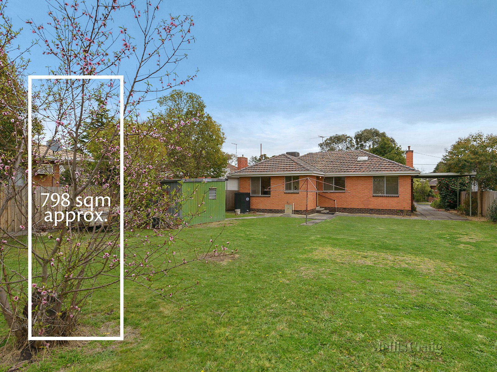 29 Wood Street, Nunawading image 1