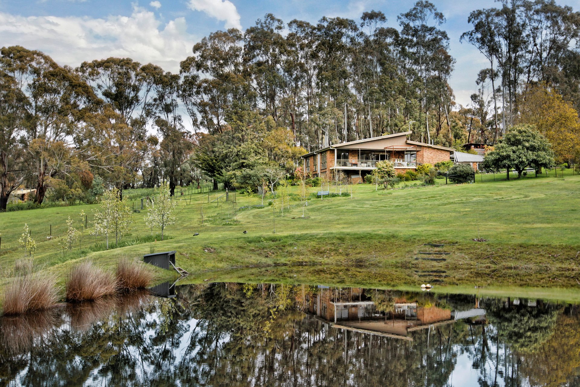 29 Woolnoughs Road, Porcupine Ridge, VIC, 3461 RT Edgar