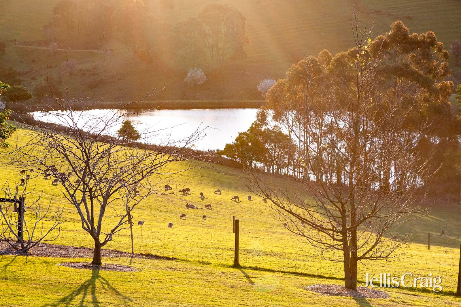 290 Clintons Road, Smiths Gully image 23