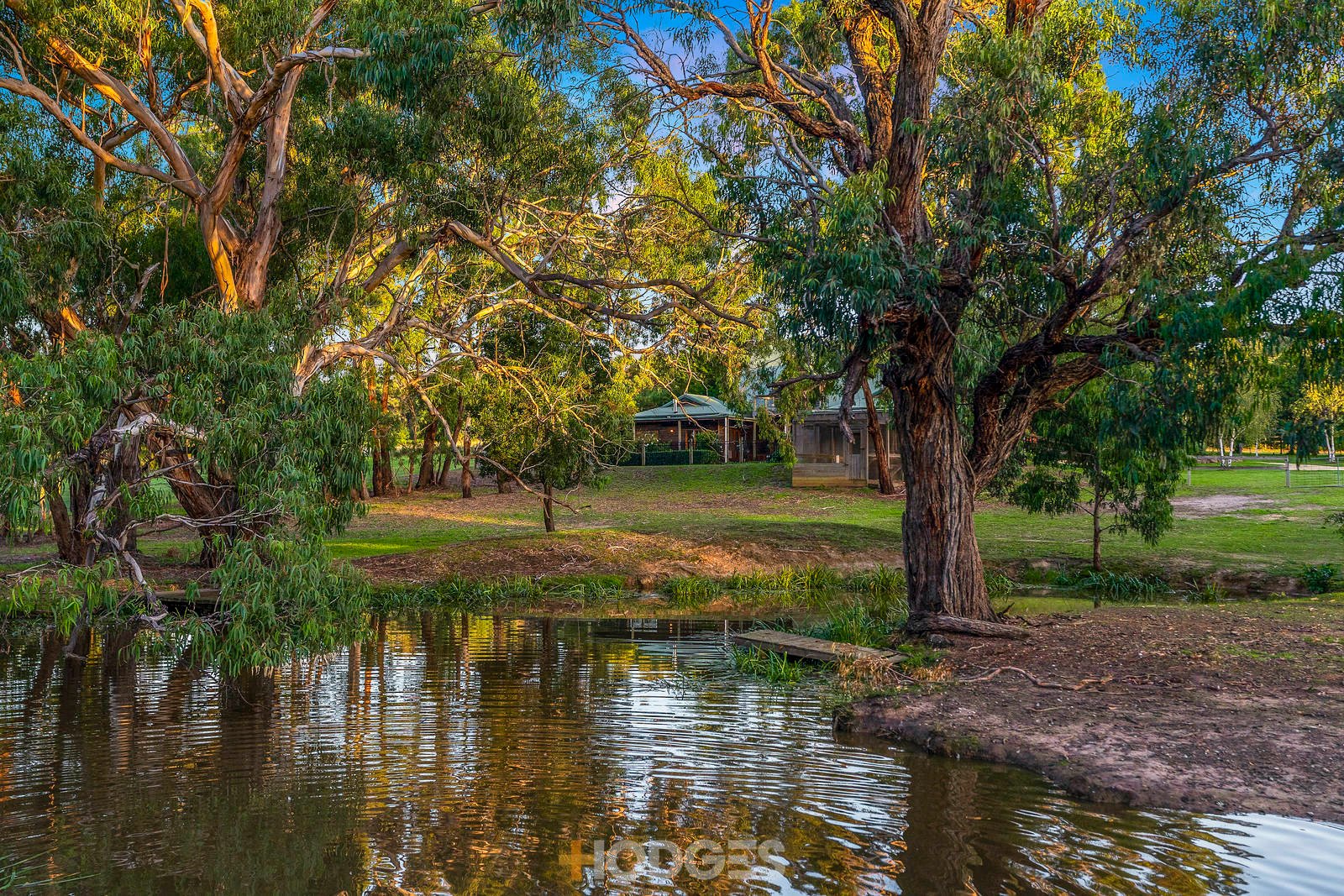 290 Gundrys Road Bellbrae