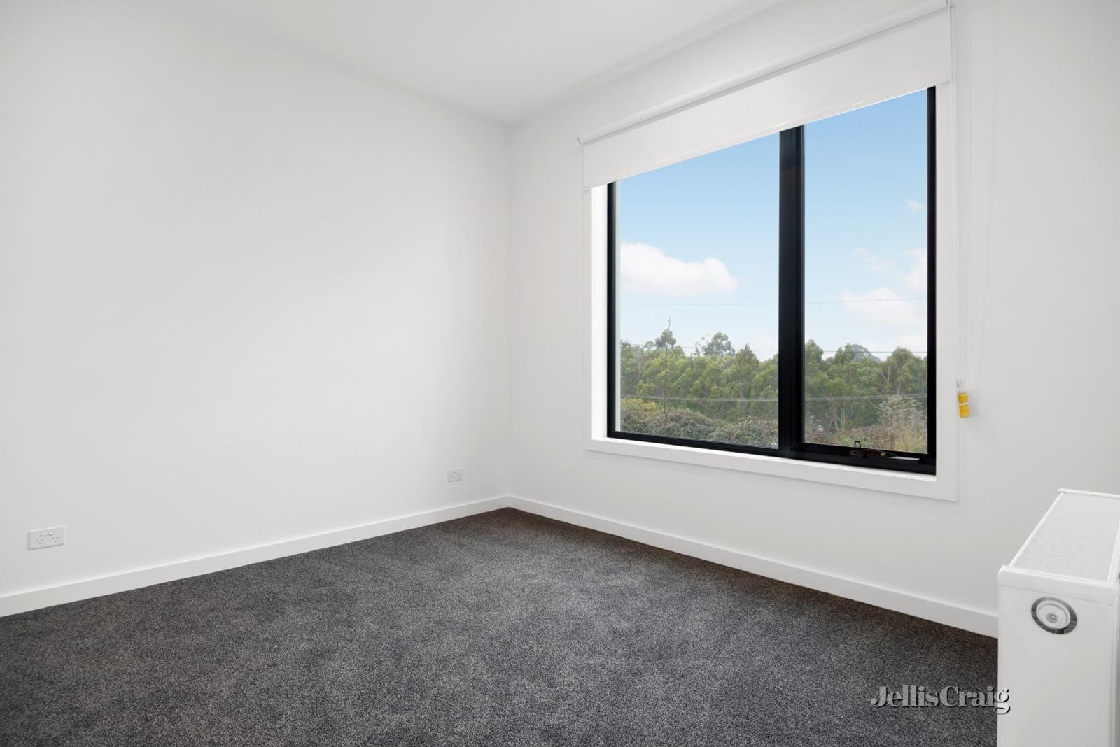 291 Clissold Street, Black Hill image 4