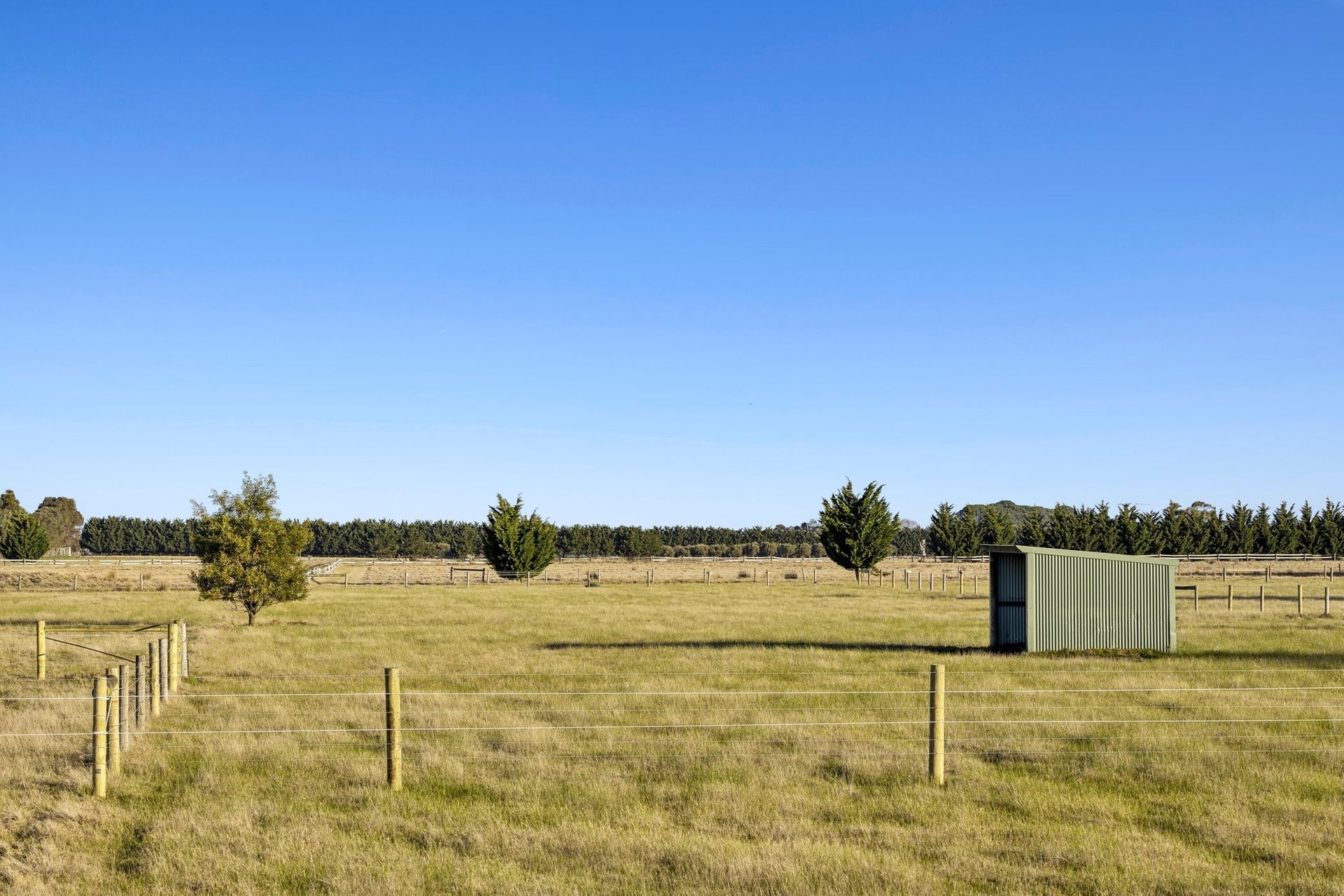 Property Gallery Thumbnail 19