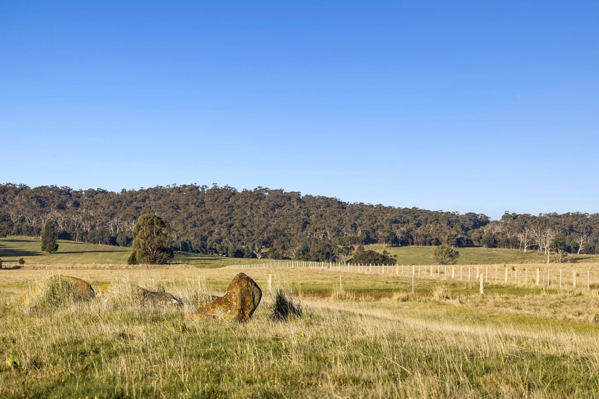 Property Gallery Thumbnail 21